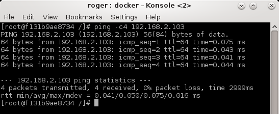 Pinging other networks works