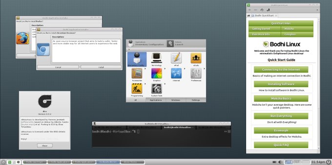 Moksha desktop, another