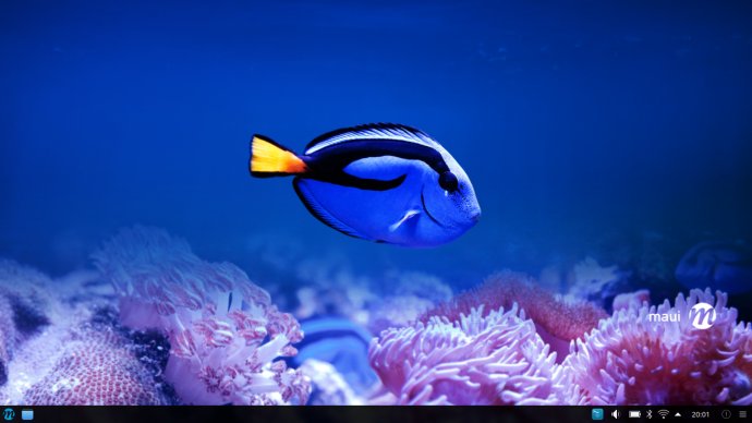 All my icons are gone