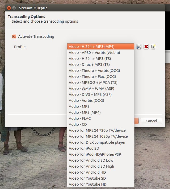 Transcoding profiles