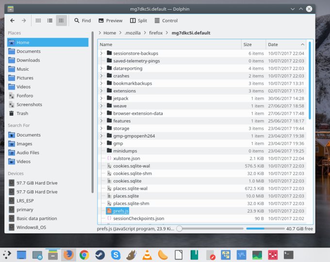 Profile, prefs.js file
