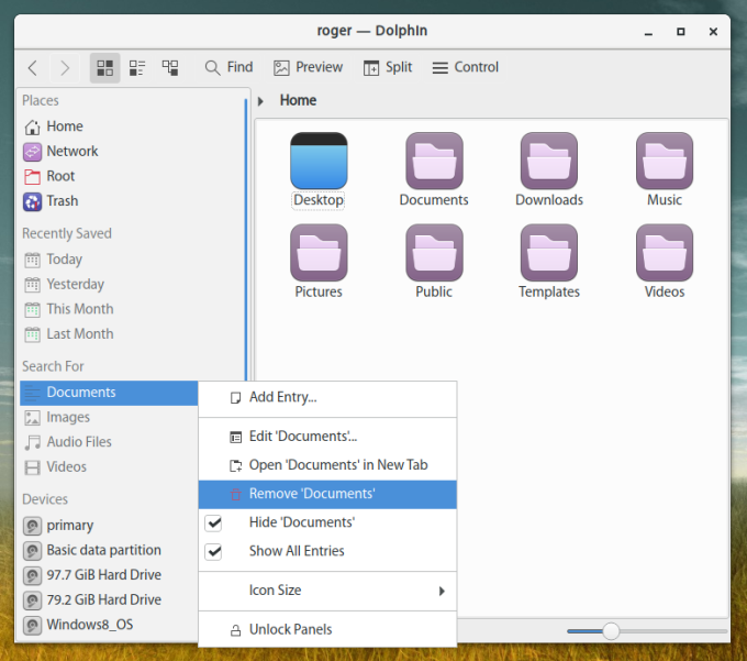 Dolphin, customize 2