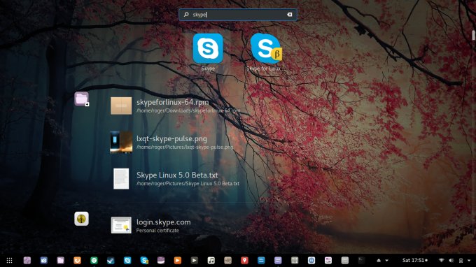 Skype 5.0 Beta installed