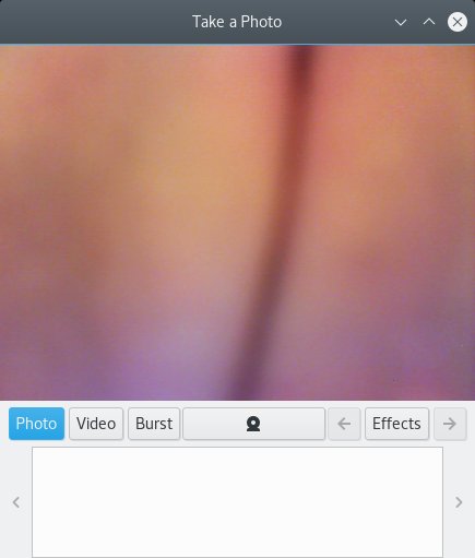 Webcam works with Nvidia