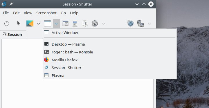 Window capture options