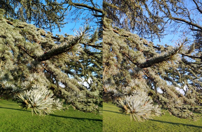 Side by side comparison 1