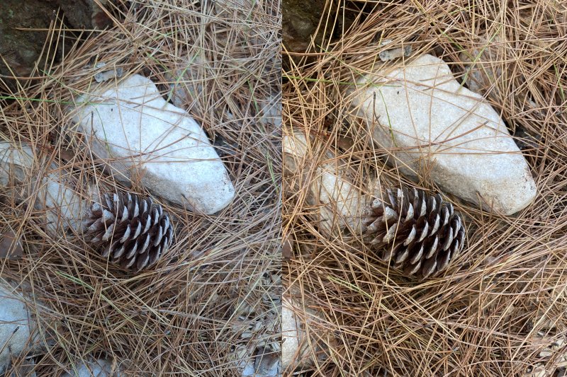 Comparison 1, iPhone 11