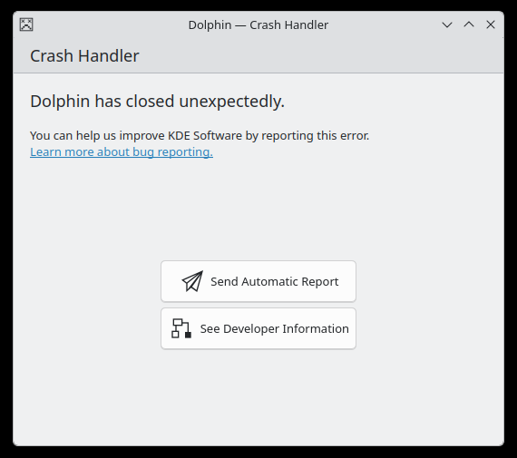 Dolphin crash