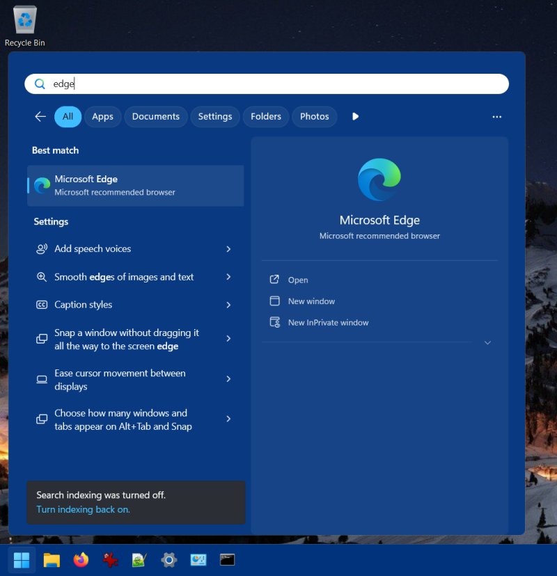 Search the Web disabled