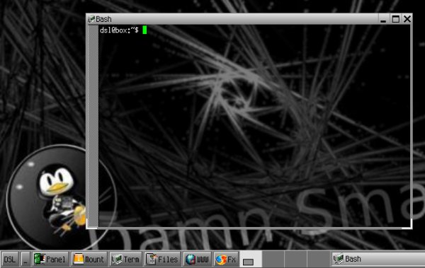 Transparent terminal