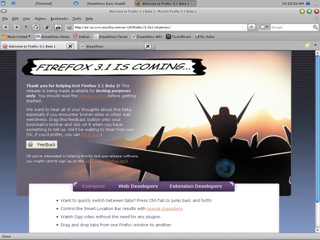 Dreamlinux firefox install