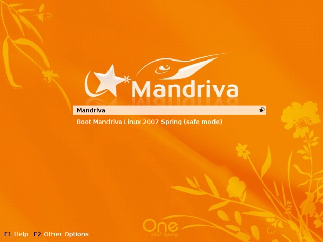 Mandriva boot first time