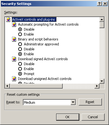 IE custom settings