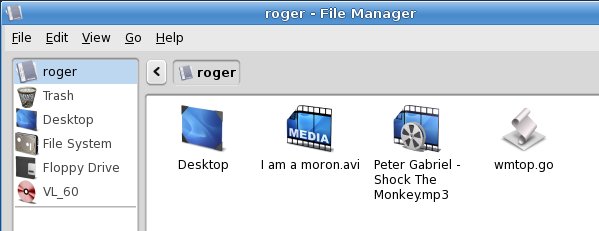 File manager