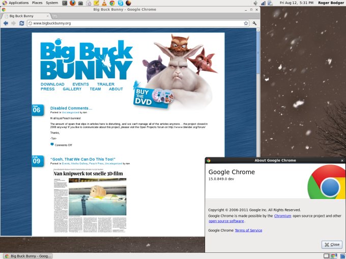 Google Chrome unstable