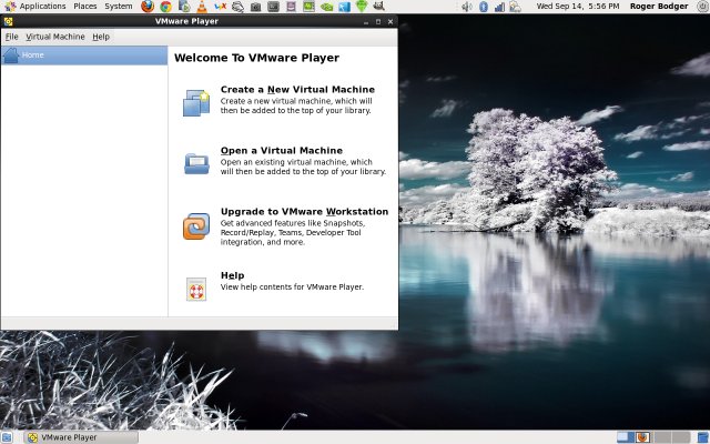VMware Player running