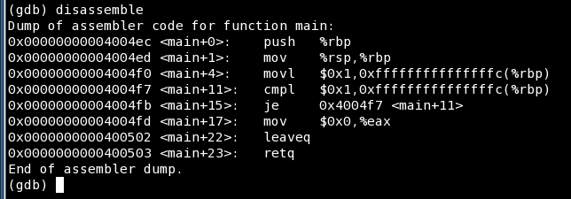 forever, disassemble