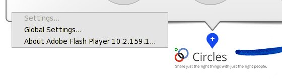 Flash used in Google Plus