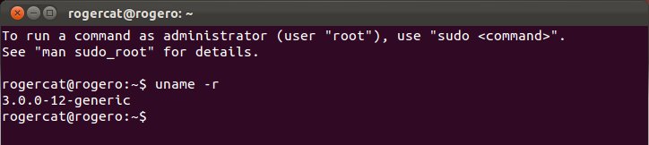 Terminal, kernel version