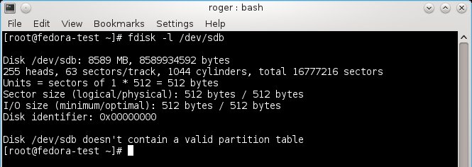 No valid partition table