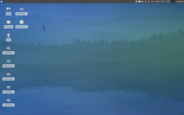Live desktop with mounted volumes