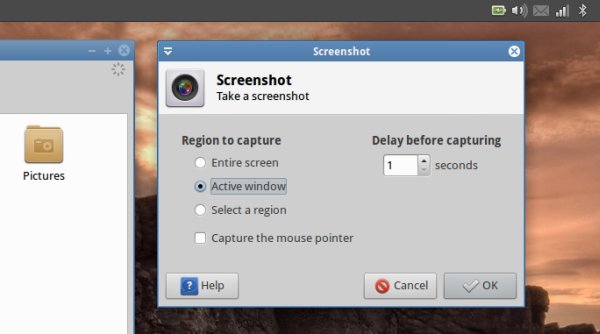 Window decorations 1