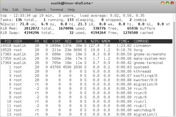 Cinnamon 2D, top command