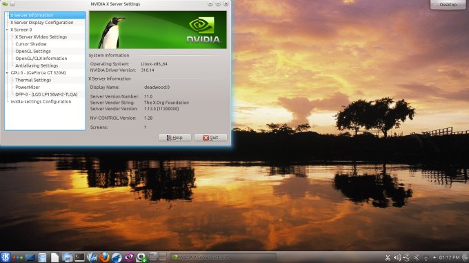 Nvidia 310 installed