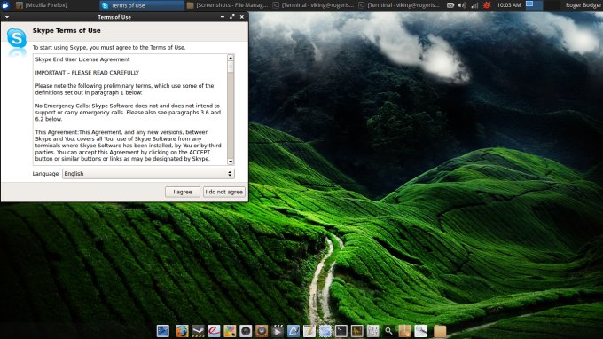 Skype runs, full screen
