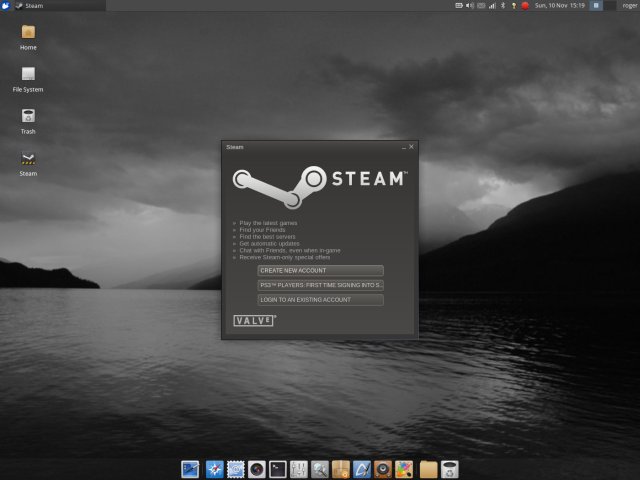 Steam