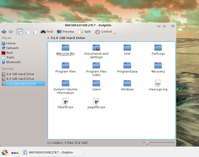 Windows partition mounted