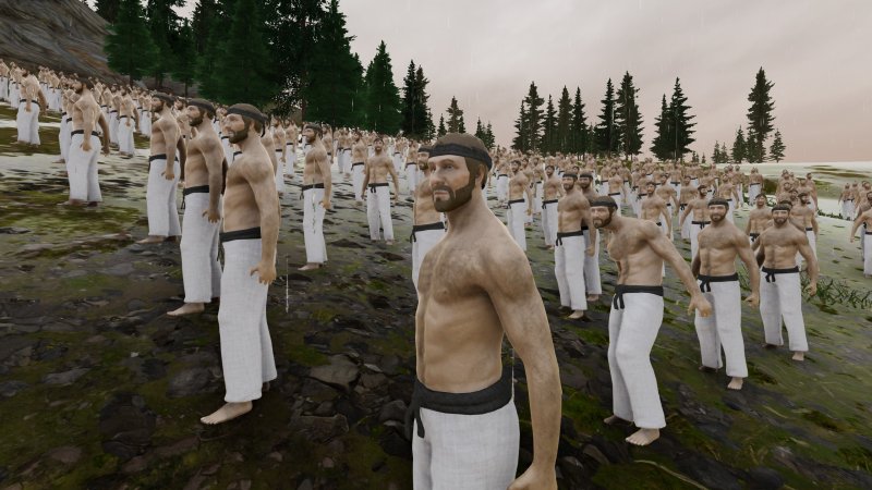 Chuck Norris simulation 1