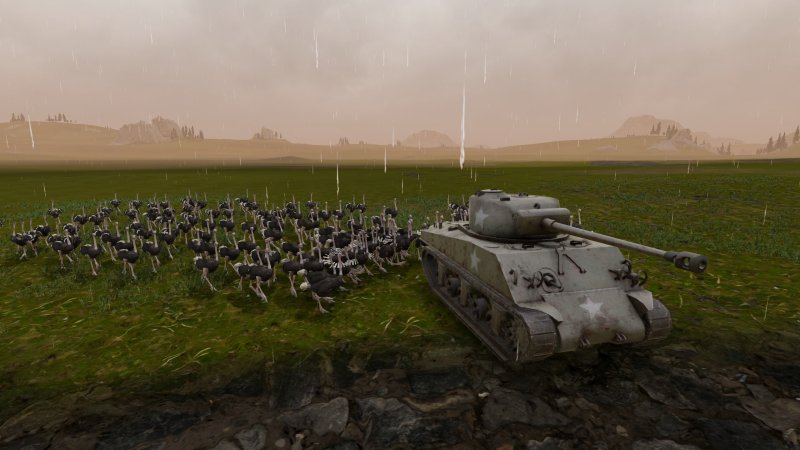 Tanks vs ostriches