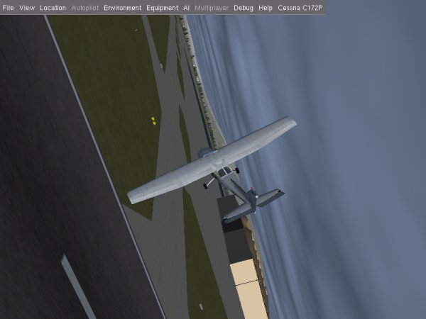 Trying to fly and failing more