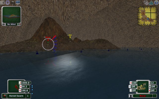 Readying Hornet Swarm