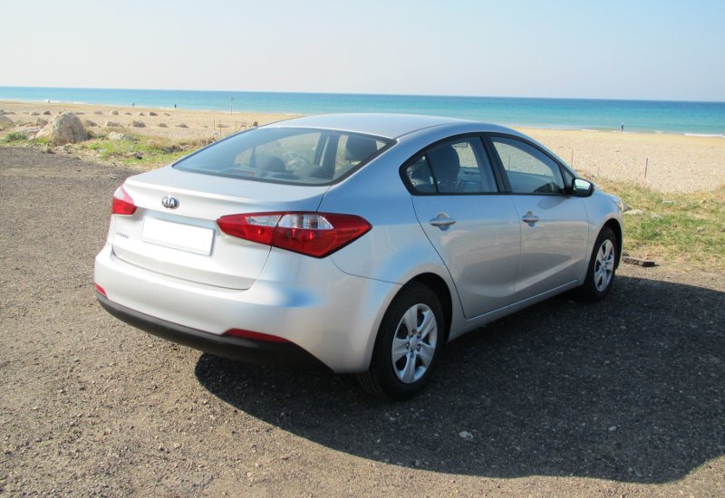 Back view, high angle