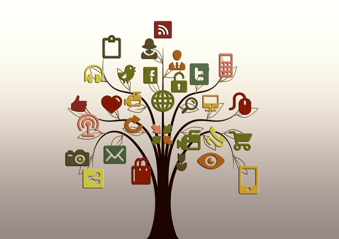 Social media tree