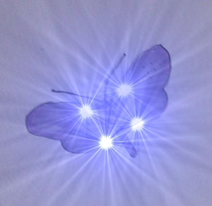 Butterfly with Super Nova effects