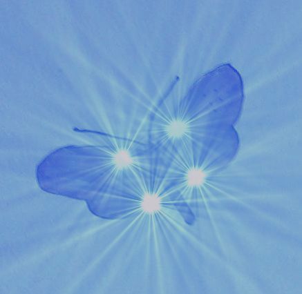 Butterfly with color scheme changed